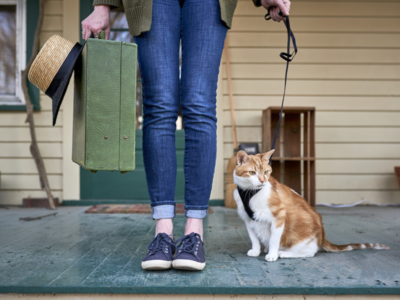 Schaden In Der Mietwohnung Was Muss Der Mieter Selbst Bezahlen N Tv De