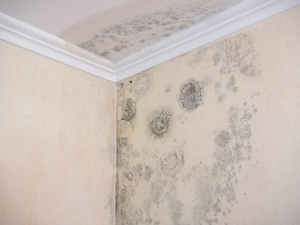 Gebäudeversicherung, Wasserschaden an Wand, Foto: Gundolf Renze/fotolia.com