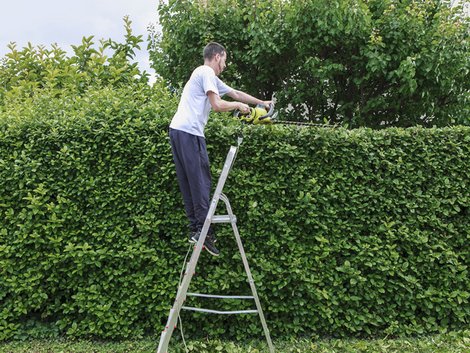 Grenzbepflanzung, Hecke schneiden, Foto: delkoo/fotolia.com