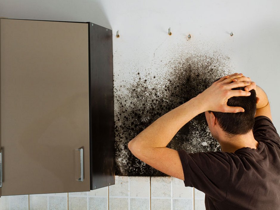 Hausübergabeprotokoll, Schimmel, arglistige Täuschung, Gewährleistung, Foto: cegli/fotolia.com