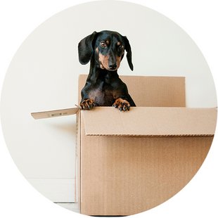 Immobilie geerbt, Immobilie erben, Foto: Erda Stremera/Unsplash